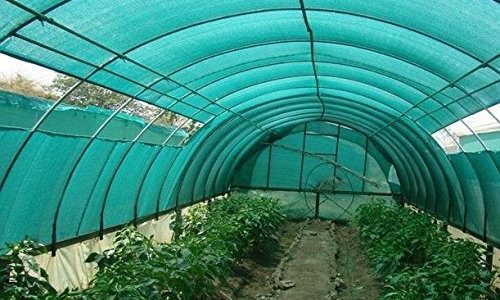 61mz0N0ZEEL 61mz0N0ZEEL